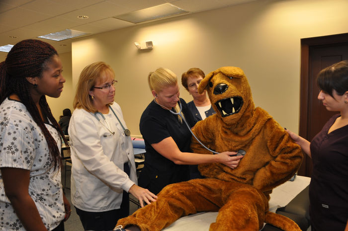 Nittany Lion being examed by nurses