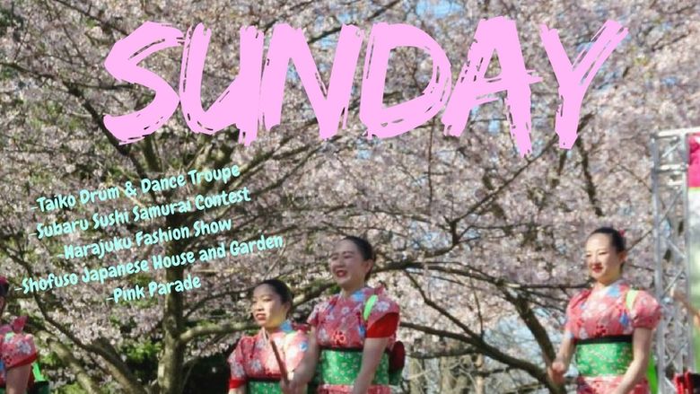 2018 Sakura Sunday