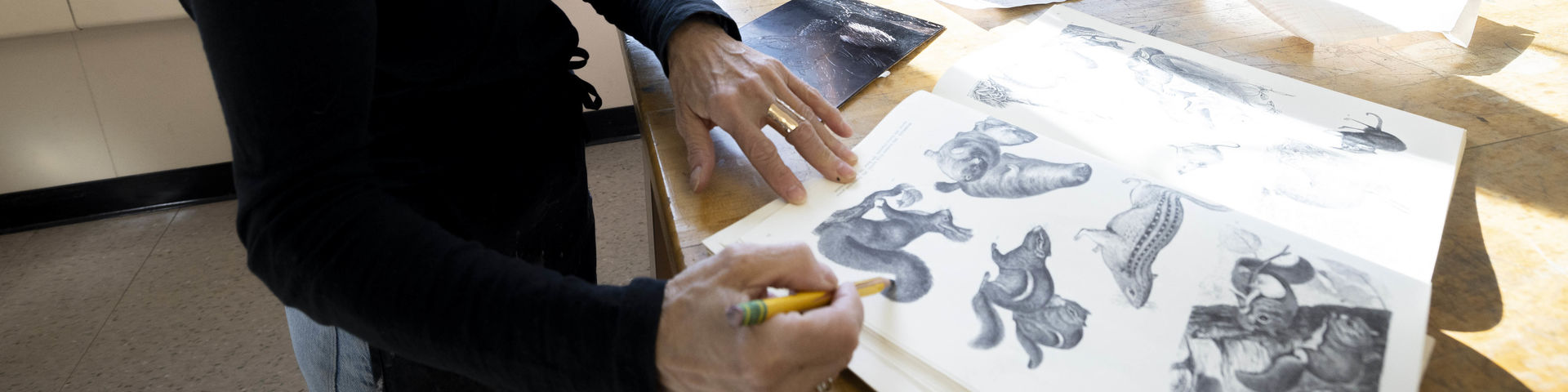 woman holding pencil with drawing booklet