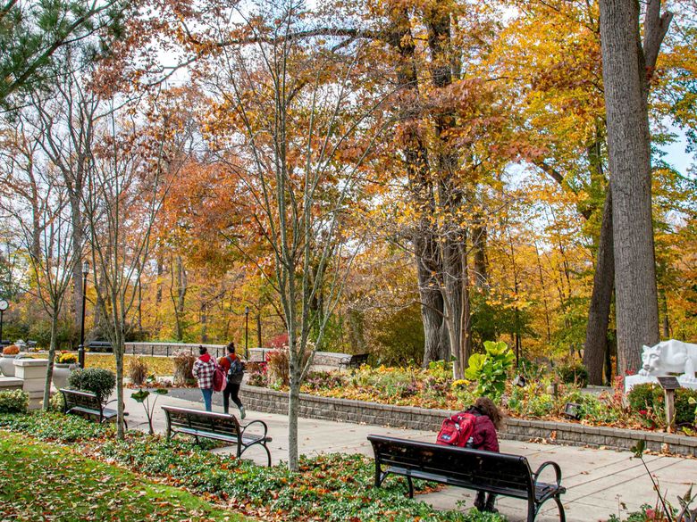 Sutherland Plaza during Fall