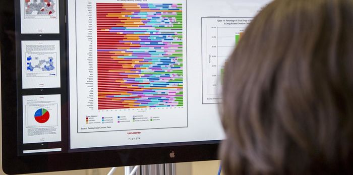 student looking at computer screen with charts