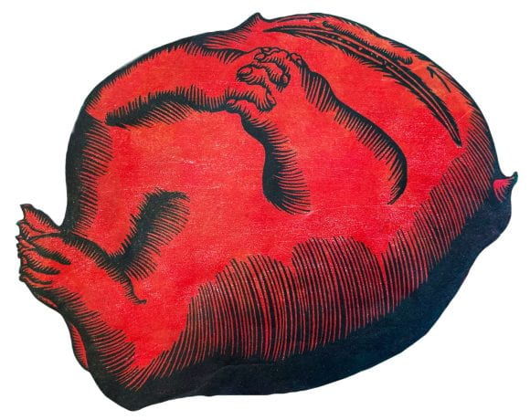 red monster illustration 