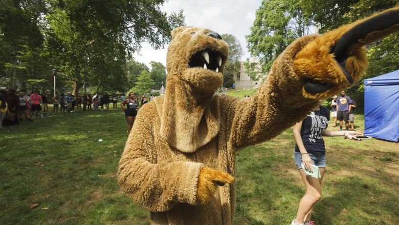 lion pointing to the right